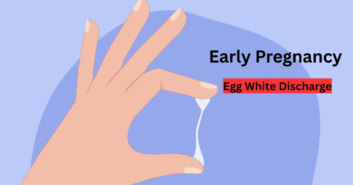 Early Pregnancy Egg White Discharge