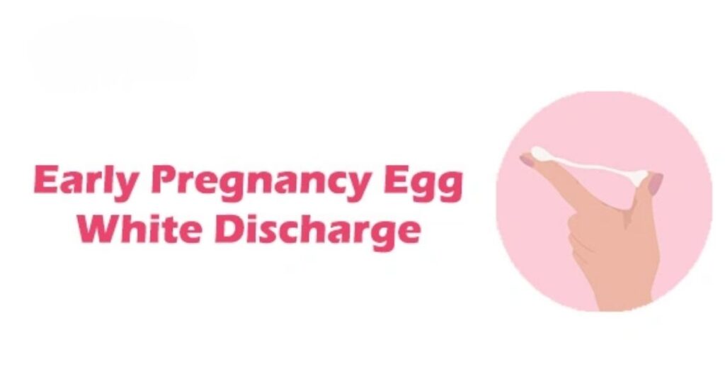 Why Does Egg White Discharge Happen in Early Pregnancy?